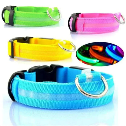 LED Adjustable Dog Collar Blinking Flashing Light up Glow Pets Safety Waterproof - Mary’s TT Shop