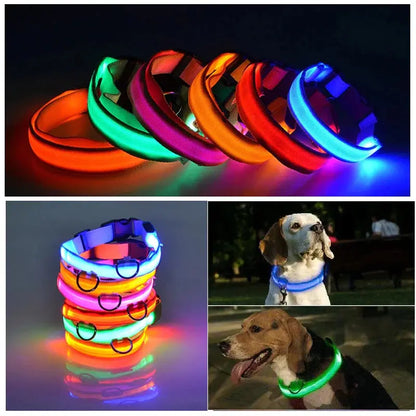 LED Adjustable Dog Collar Blinking Flashing Light up Glow Pets Safety Waterproof - Mary’s TT Shop