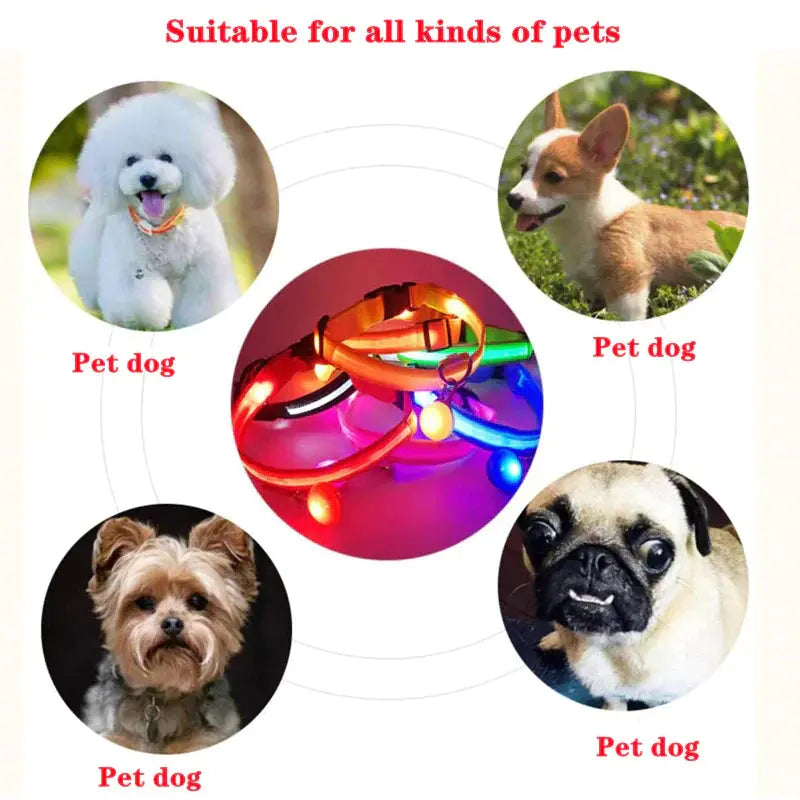 LED Adjustable Dog Collar Blinking Flashing Light up Glow Pets Safety Waterproof - Mary’s TT Shop