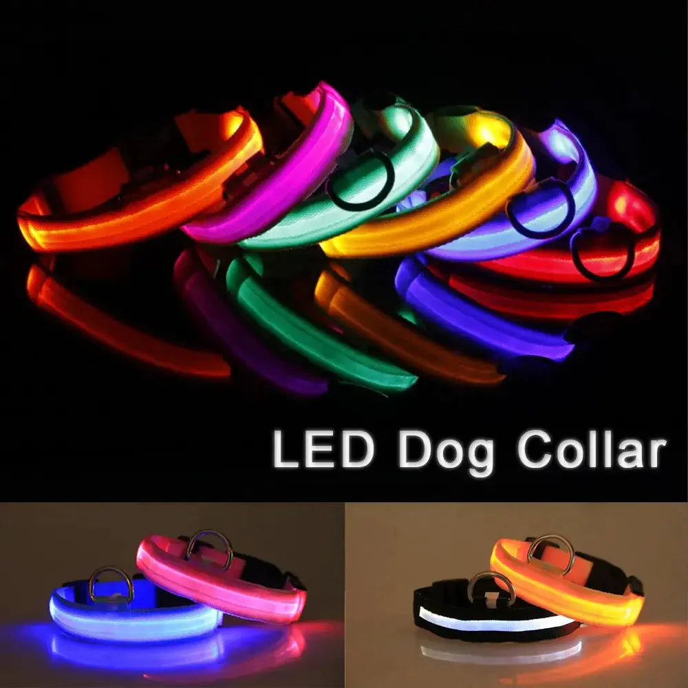 LED Adjustable Dog Collar Blinking Flashing Light up Glow Pets Safety Waterproof - Mary’s TT Shop