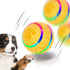 Peppy Pet Ball for Dogs, Interactive Dog Toy Durable Automatic Rolling Ball with Led Flash Lights for Small Medium Dogs Breed, Wicked Ball with Motion Activat Bpa-Free USB Rechargeable - Mary’s TT Shop