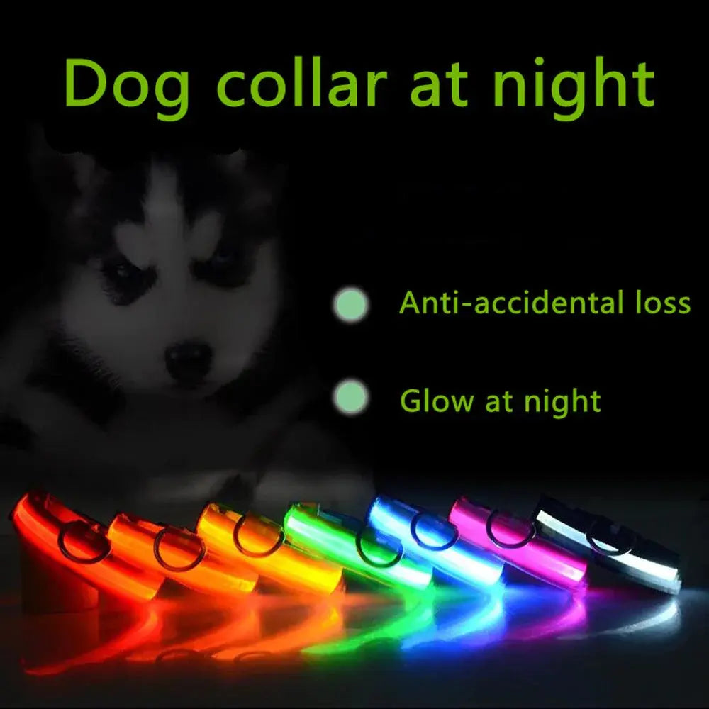 LED Adjustable Dog Collar Blinking Flashing Light up Glow Pets Safety Waterproof - Mary’s TT Shop