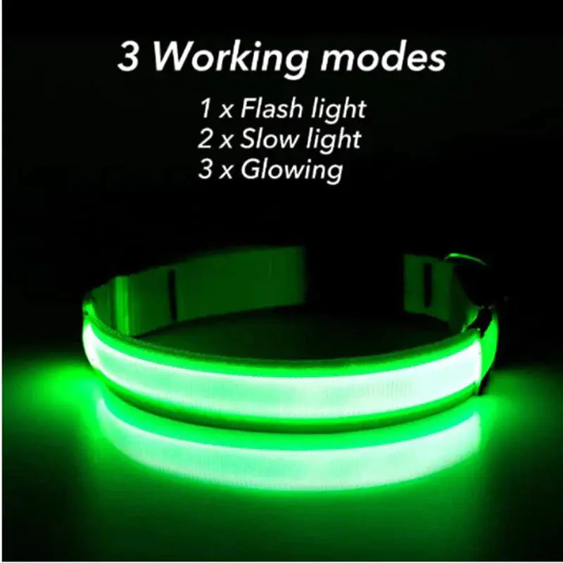 LED Adjustable Dog Collar Blinking Flashing Light up Glow Pets Safety Waterproof - Mary’s TT Shop