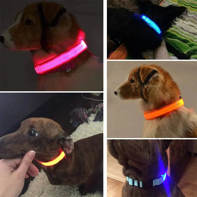 LED Adjustable Dog Collar Blinking Flashing Light up Glow Pets Safety Waterproof - Mary’s TT Shop