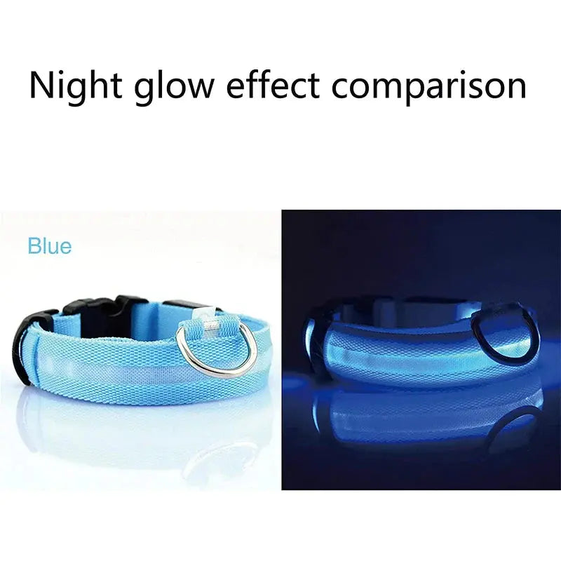 LED Adjustable Dog Collar Blinking Flashing Light up Glow Pets Safety Waterproof - Mary’s TT Shop