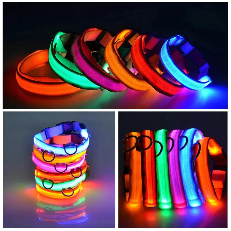 LED Adjustable Dog Collar Blinking Flashing Light up Glow Pets Safety Waterproof - Mary’s TT Shop