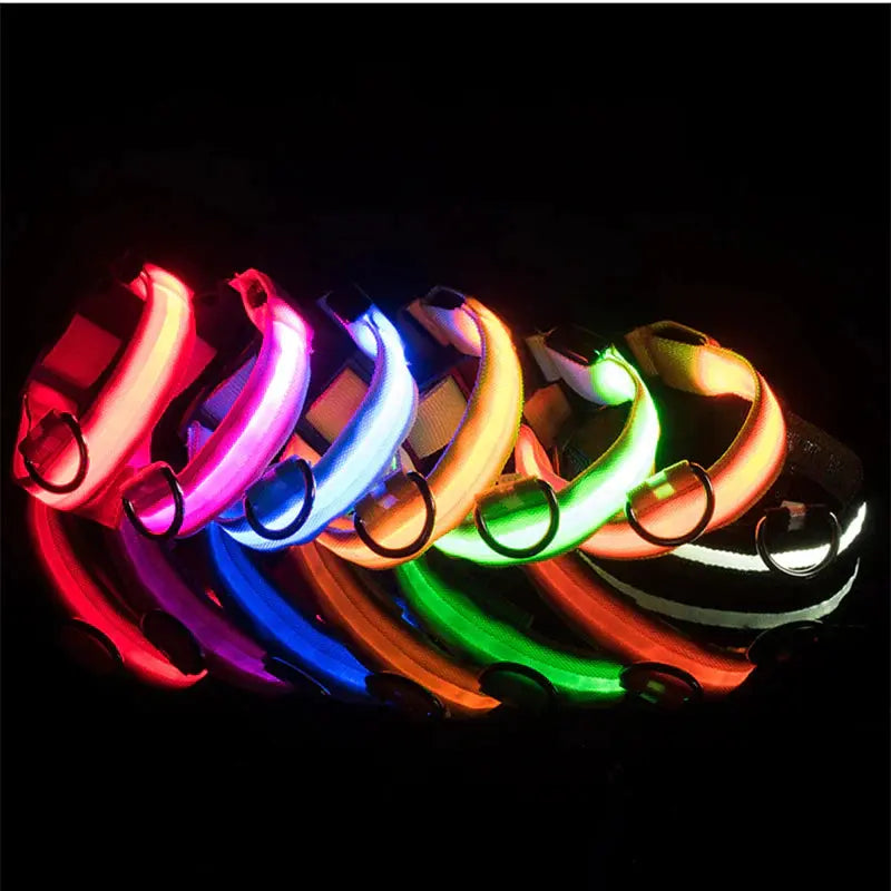 LED Adjustable Dog Collar Blinking Flashing Light up Glow Pets Safety Waterproof - Mary’s TT Shop