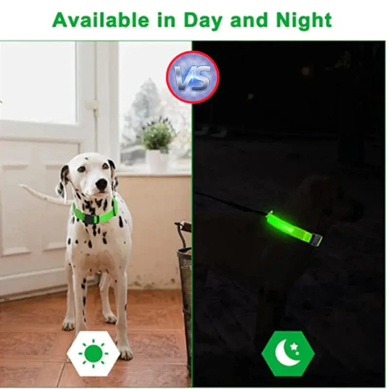 LED Adjustable Dog Collar Blinking Flashing Light up Glow Pets Safety Waterproof - Mary’s TT Shop