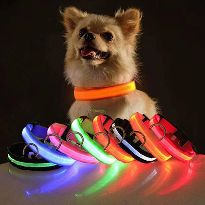 LED Adjustable Dog Collar Blinking Flashing Light up Glow Pets Safety Waterproof - Mary’s TT Shop