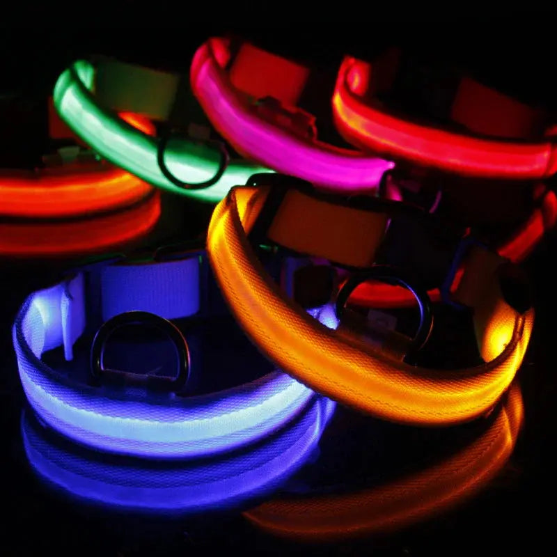 LED Adjustable Dog Collar Blinking Flashing Light up Glow Pets Safety Waterproof - Mary’s TT Shop